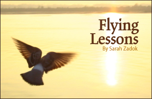 Flying Lessons